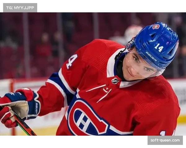 新秀观察:本年度NHL选秀热门人选在各大青年联赛的数据表现 新秀观察:本年度NHL选秀热门人选在各大青年联赛的数据表现